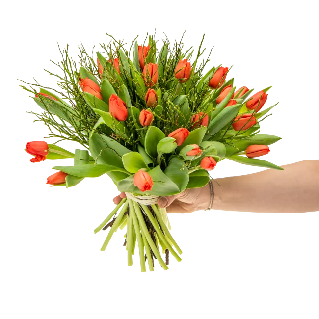 Kytice červených tulipánů